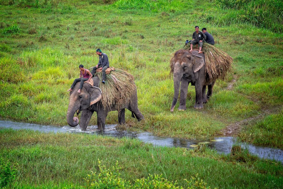 Chitwan